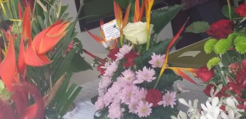 73546662-2374377382673063-3371364471967580160-o