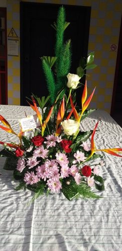 76961414-2374379519339516-1207611212972425216-o